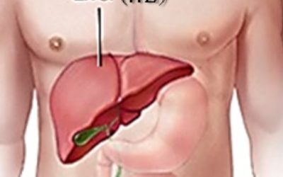 ✅️ตับอักเสบ HePaTiTis