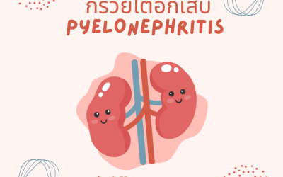 ✅️กรวยไตอักเสบ_PyeLoNePHriTis😉