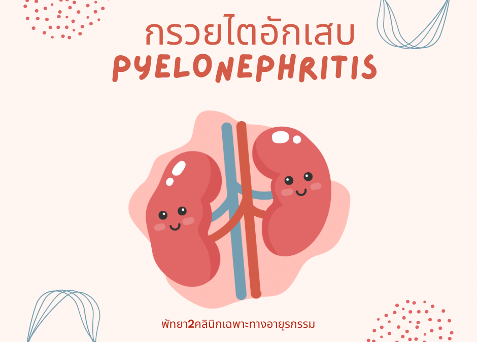 ✅️กรวยไตอักเสบ_PyeLoNePHriTis😉